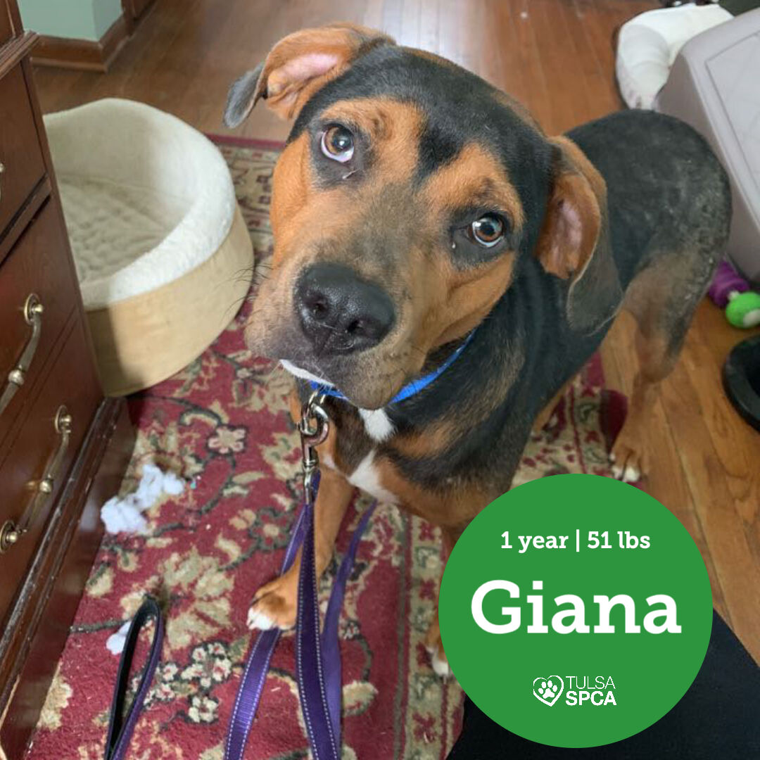 Giana